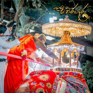 Navam Maha Perahera 2025 - Day 02